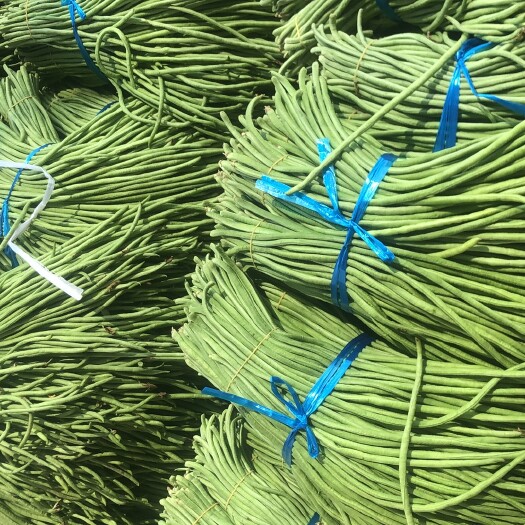 枝江市绿翡翠长豆角 量大质优