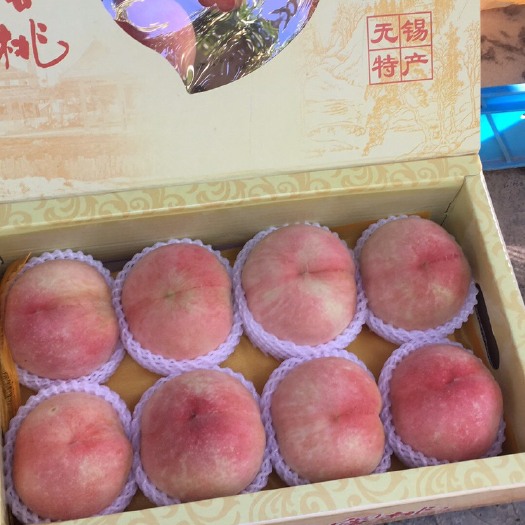 阳山水蜜桃当季水果3两左右8个装果园采摘现发