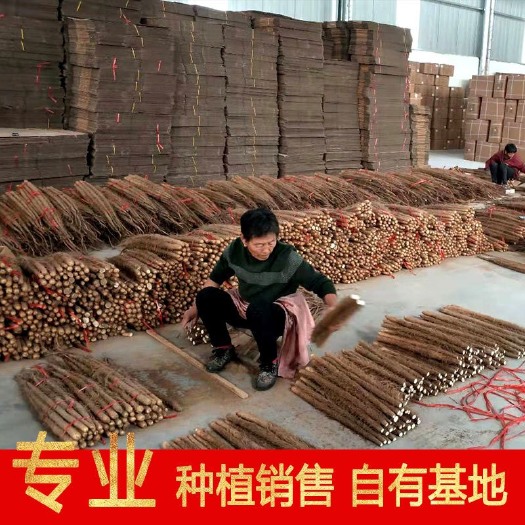 高阳县铁棍山药  山药河北产地供应链直发麻山药通货美团优选供货