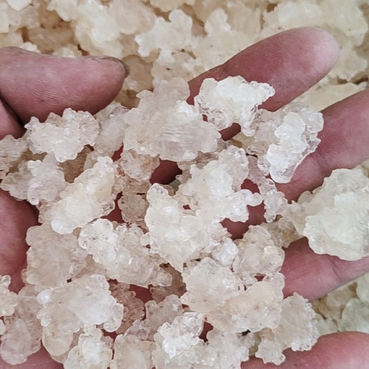 瑞丽市雪燕批发 一手批发 天然雪燕