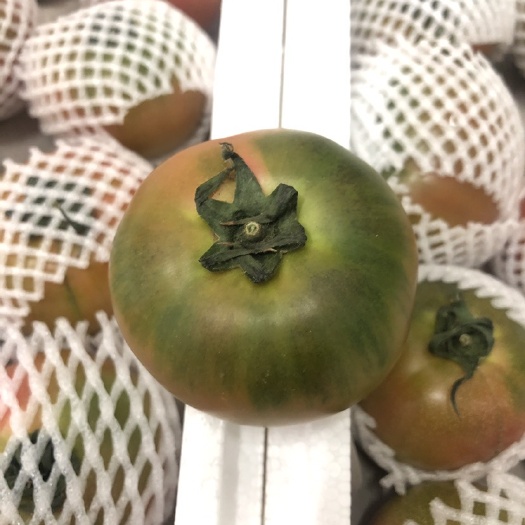 寿光市水果西红柿生吃铁皮草莓柿子新鲜巧克力黑珍珠沙瓤自然熟迷彩番茄
