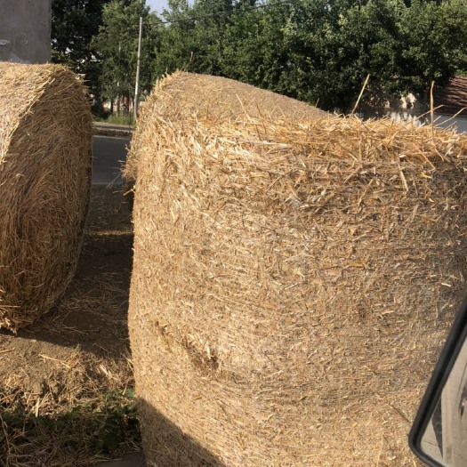 蒙城县 小麦秸秆，一次加工和二次加工粉碎都有