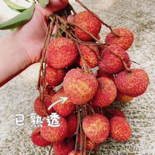 广州糯米糍荔枝  图片为中等果 需要的的老板 直接到场地报价