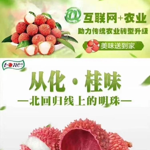 广州桂味荔枝  最好的荔枝不在市场，更不在超市，而是在你下单时它还挂在树上。