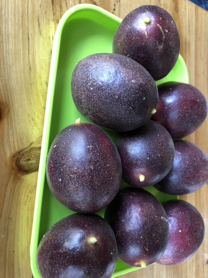 台农一号百香果  百香果 西番莲 云南德宏芒市 产地直销，实力商家联系！