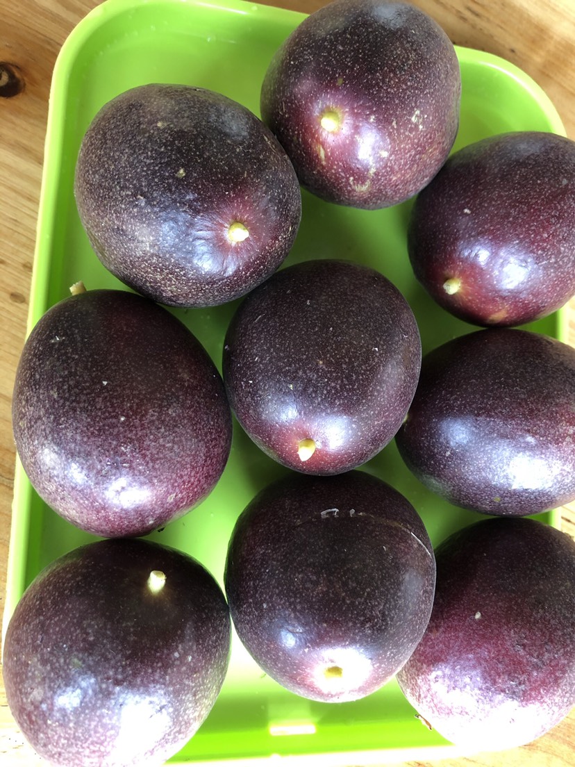 台农一号百香果  百香果 西番莲 云南德宏芒市 产地直销，实力商家联系！