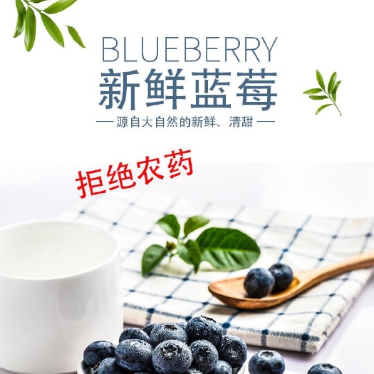 l25、 f6、优瑞卡、云雀蓝莓  蓝莓现摘现发12小时发货