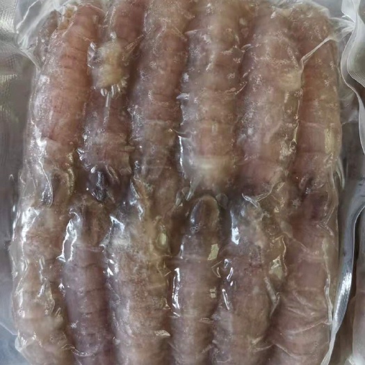 乳山市皮皮虾 熟冻虾姑肉