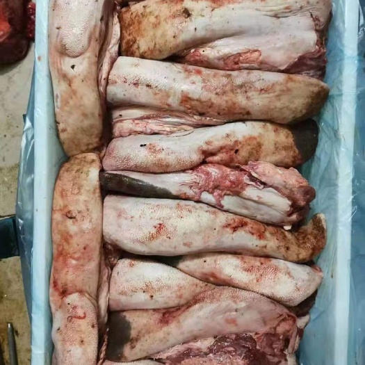 河间市牛舌，牛口条，精修去根，（本地鲜冻）