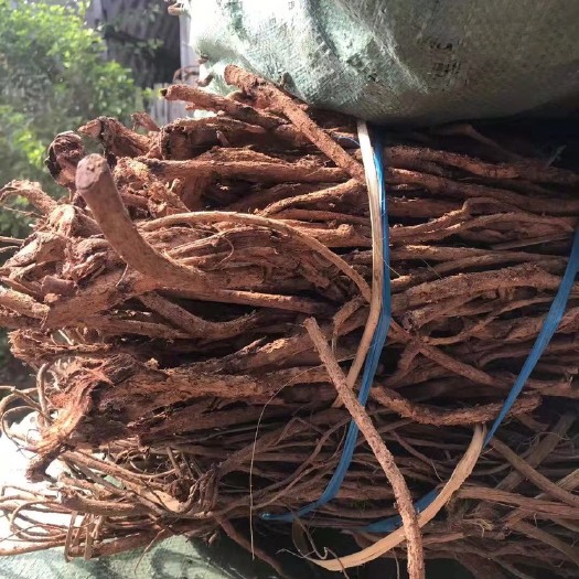 瑞丽市 黑皮红皮千斤拔千斤红
