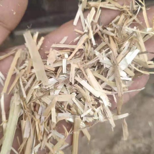 利辛县干草 加工草