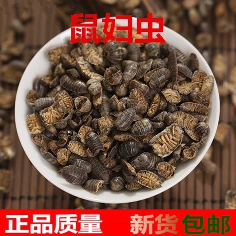 亳州鼠妇虫 中药材 鼠妇虫、潮虫 地虱、湿生虫正品 500克