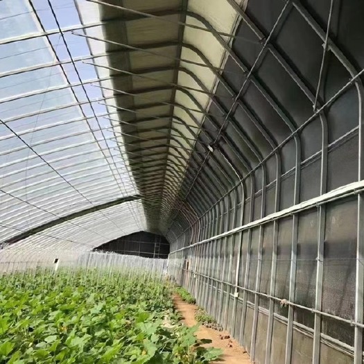 天津大棚配件  大棚管大棚骨架蔬菜大棚养殖大棚大棚薄膜