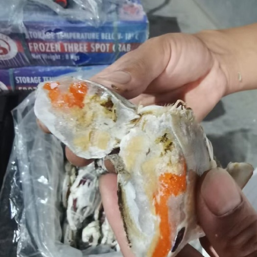 连云港鲜活冷冻梭子蟹，三点蟹、花蹄蟹、三角蟹、二母蟹。大量有货价