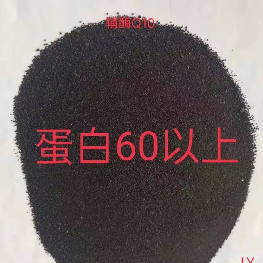 正定县蛋白质补充饲料 辅酶Q10