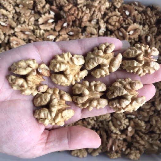 赞皇县新疆核桃仁核桃仁尖白，普白