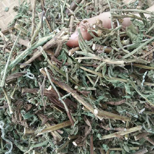 玉林 六棱菊中药材新货干品百草王六耳棱鹿耳翎臭灵丹