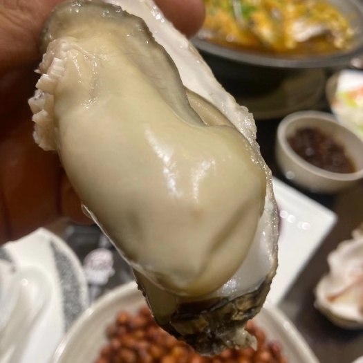 乳山市三倍体生蚝  乳山三倍体，自家海区现捞现发，货源稳定大量出