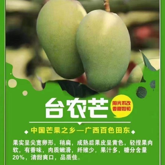 田东县百色台农芒果【单果450g以上】