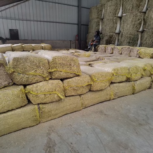 金昌揉丝玉米秸秆草