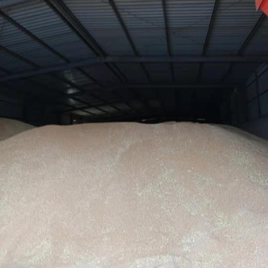 霍邱县 大量出售优质小麦