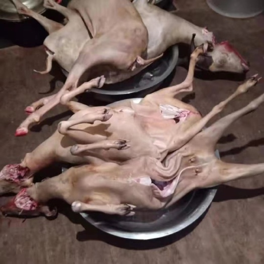 威宁县羊肉