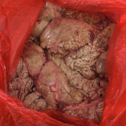 贺兰县鲤鱼籽  新鲜鲤鱼鱼籽鲤鱼鱼卵