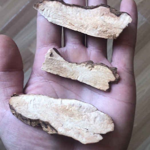 惠州 土茯苓