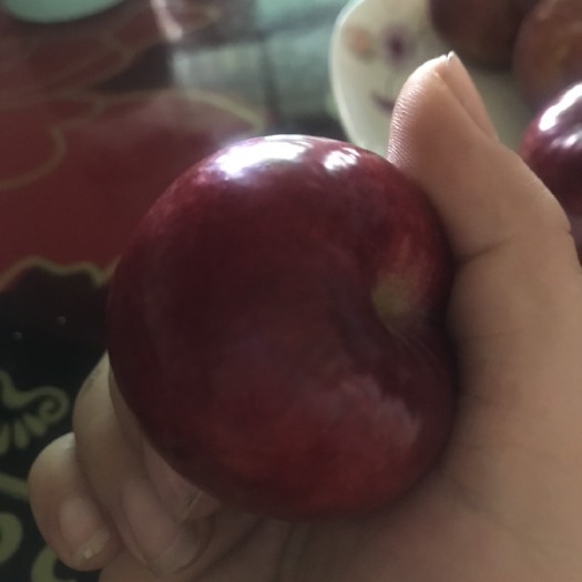 宜昌 杏香李，嘎嘣脆，黑布林的外观，杏子的清香甜味，嘣牙的脆感