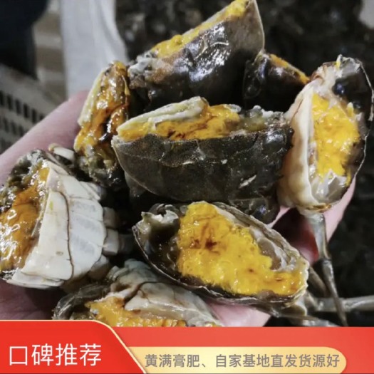 盘山县大闸蟹辽宁盘锦老头蟹一元蟹0.3到0.8公母更多规格欢迎咨询