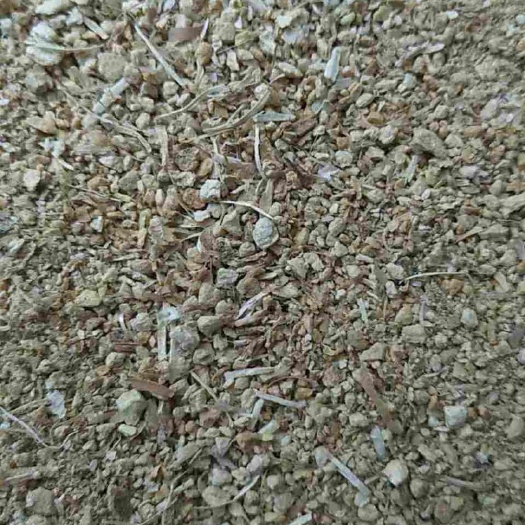 费县青干草饲料  大蒜托粉碎加工，蒜托粉