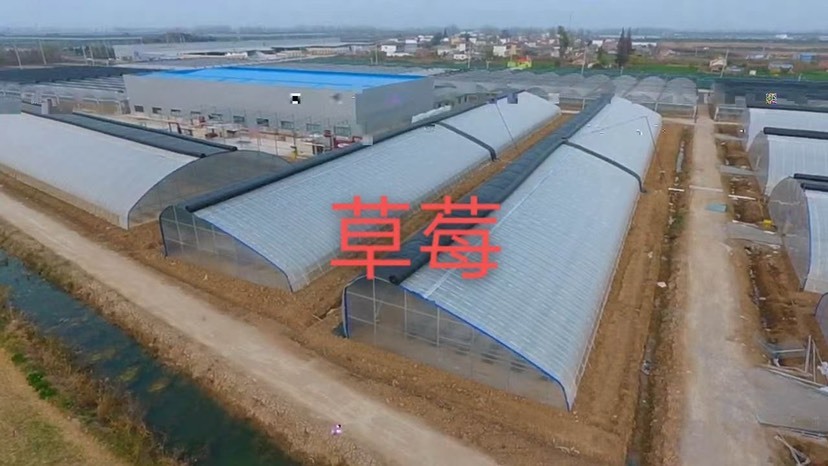 天津全国建设养殖大棚！种植大棚！薄膜连栋！温室大棚！
