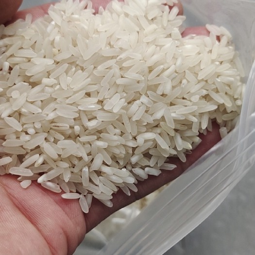 南宁大米  食堂米