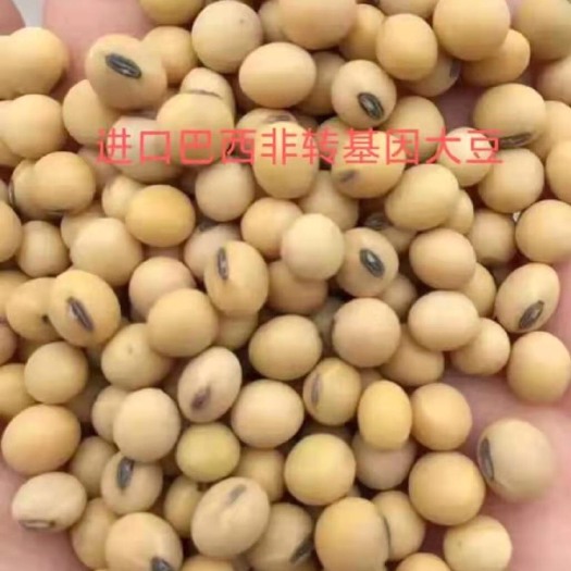南宁 巴西、俄罗斯大豆