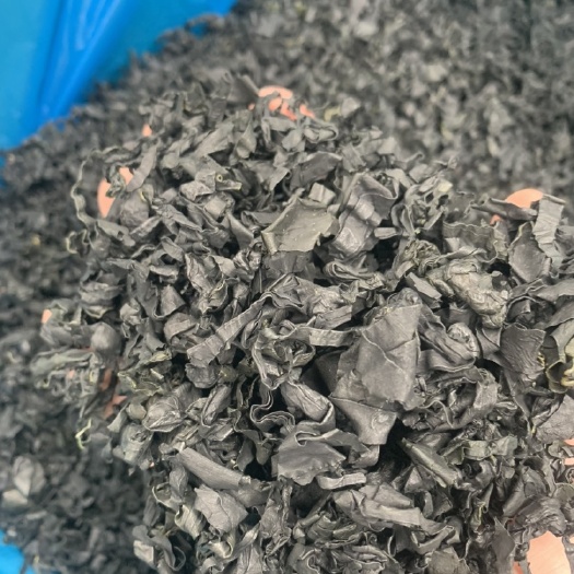 干裙带菜 螺旋藻  一斤泡发15斤  厂家一手货源 质量保证