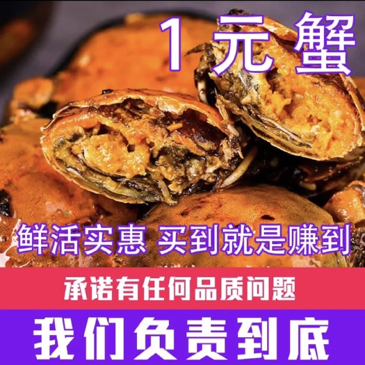 花蟹苗  辽宁盘锦一元蟹鲜活现货大闸蟹老头蟹稻田蟹批发保证质量