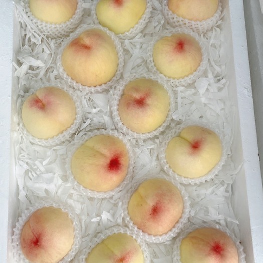 新沂市白凤桃  江苏省水蜜桃