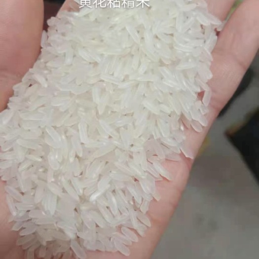 河池黄花粘 湖北省孝感市孝南区 二等品 早稻 籼米 
