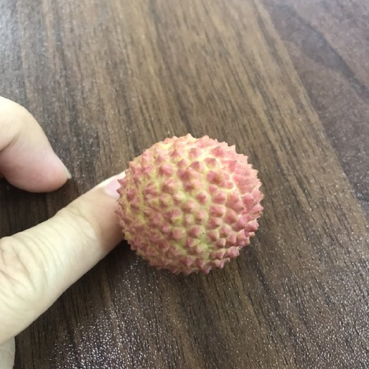 德庆县桂味荔枝  荔中之王--桂味，王中之皇--桂味鸭头绿，果天然带。