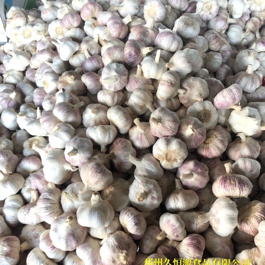邳州市大蒜  邳州机选净蒜。以最低的价格给客户最好的产品。合作共赢