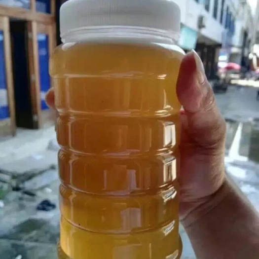 平阳县 正中家养土蜂蜜