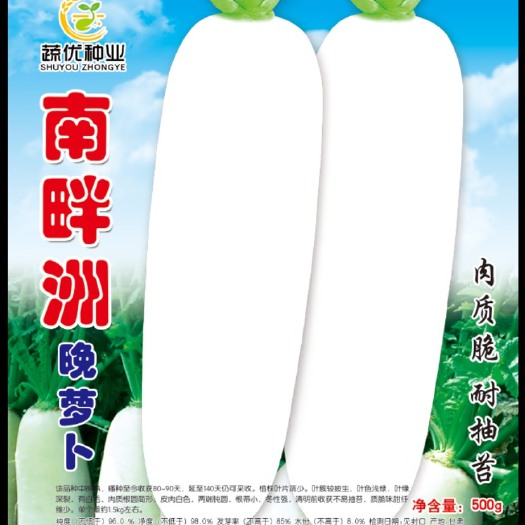 平远县白萝卜种子  南畔洲晚萝卜种子 500克