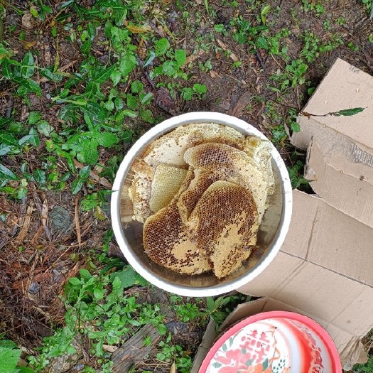 始兴县大山深处的蜂蜜，百花蜜大量现货，