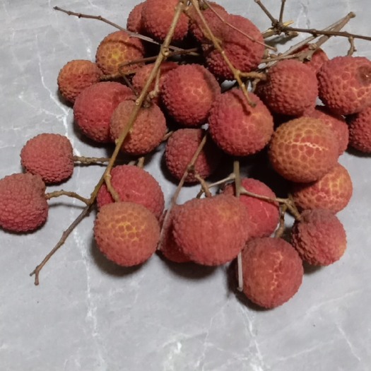 阳春市出售大量白糖罂荔枝,要自摘