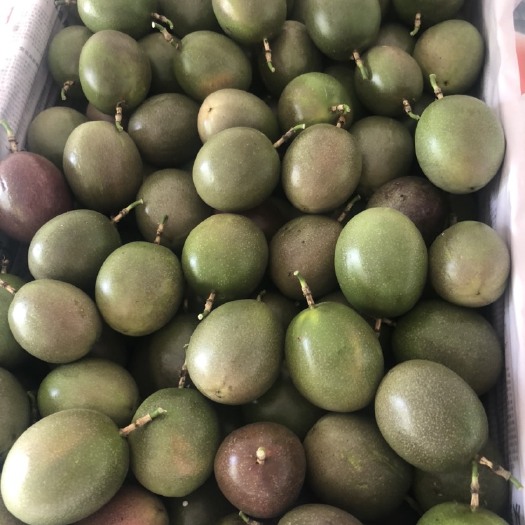 丘北县台农一号百香果  云南高山台农亮货，质量好，品质保证物美价廉