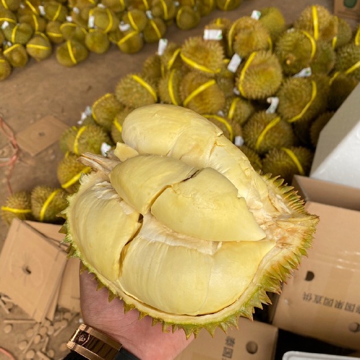 昆明泰国金枕榴莲 现货 支持一件代发 对接各平台电商