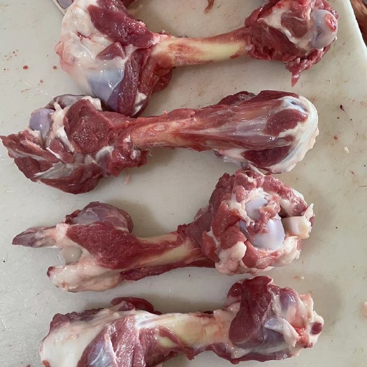 羊骨 羊棒骨 加肉羊棒骨 国产羔羊纯干货  新鲜价低