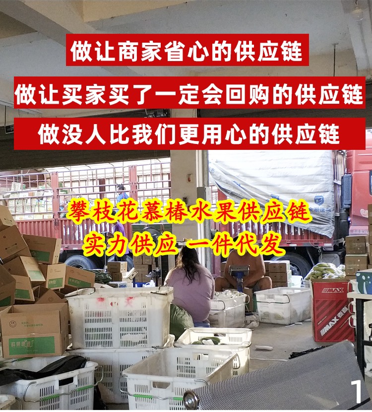 攀枝花芒果一件代发！实力供应！