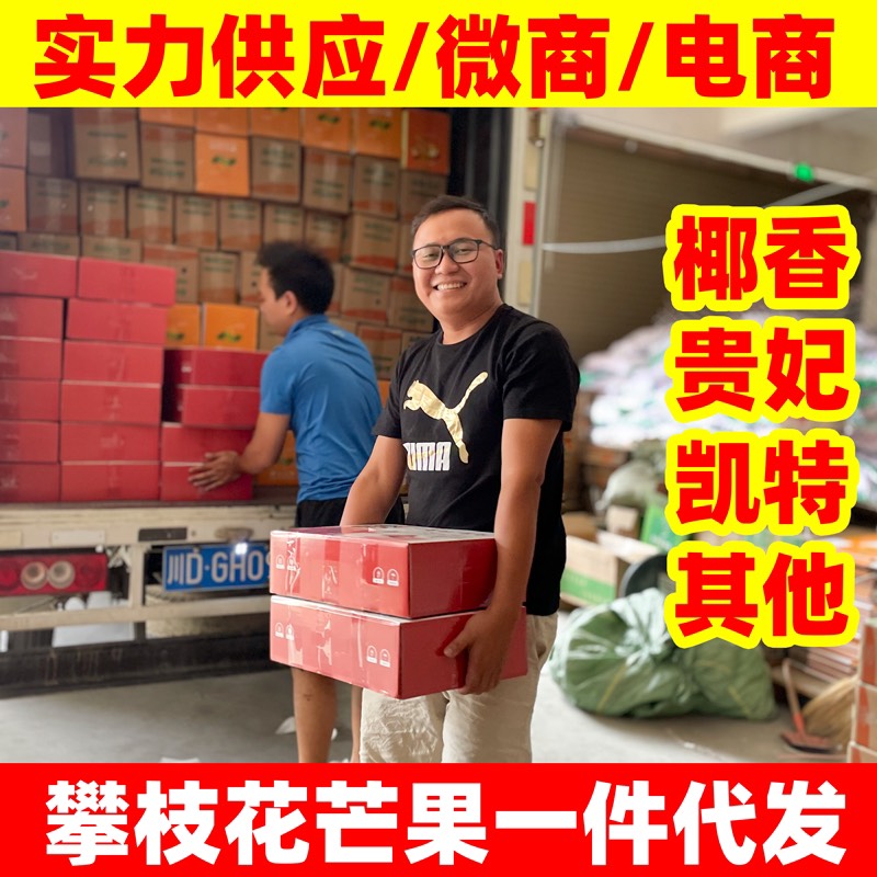 攀枝花芒果一件代发！实力供应！