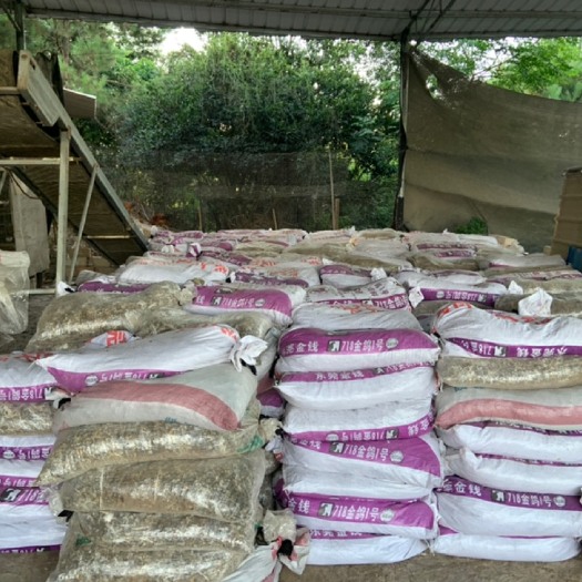 鸽粪 长期供应优质鸽子粪农家肥保证每包干身不湿